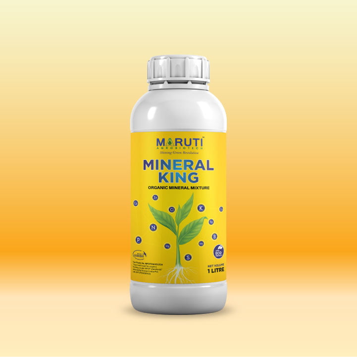 Maruti - Bio Fertilizers Web Banner-15